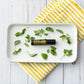 Oregano Touch