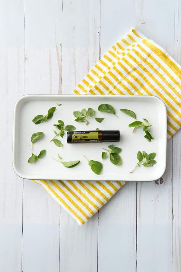 Oregano Touch