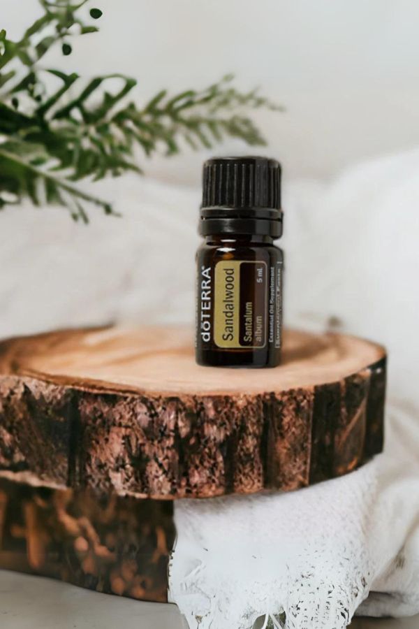 Sandalwood (Indian)