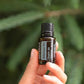 Siberian Fir