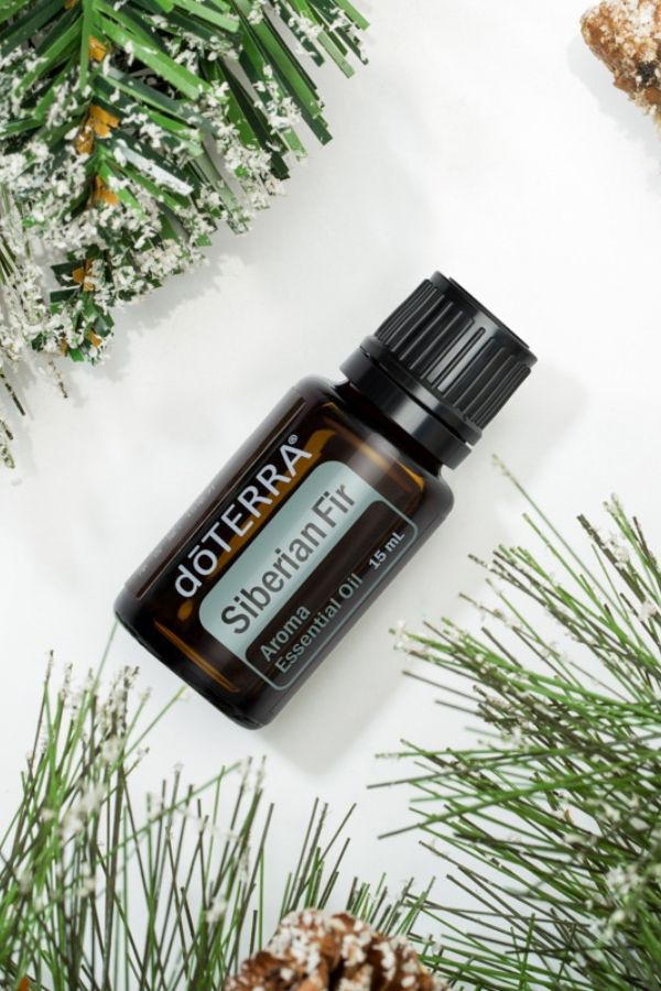 Siberian Fir