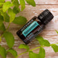 Spearmint