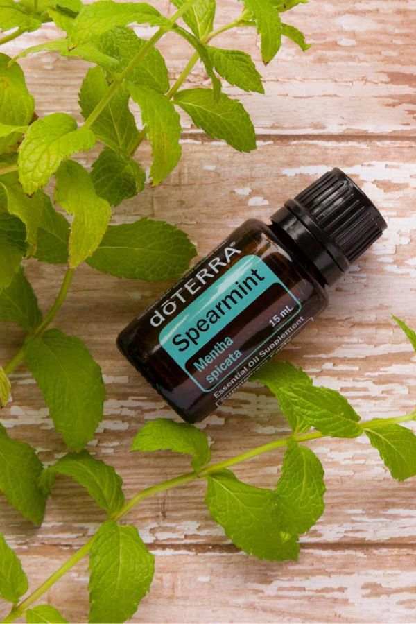 Spearmint