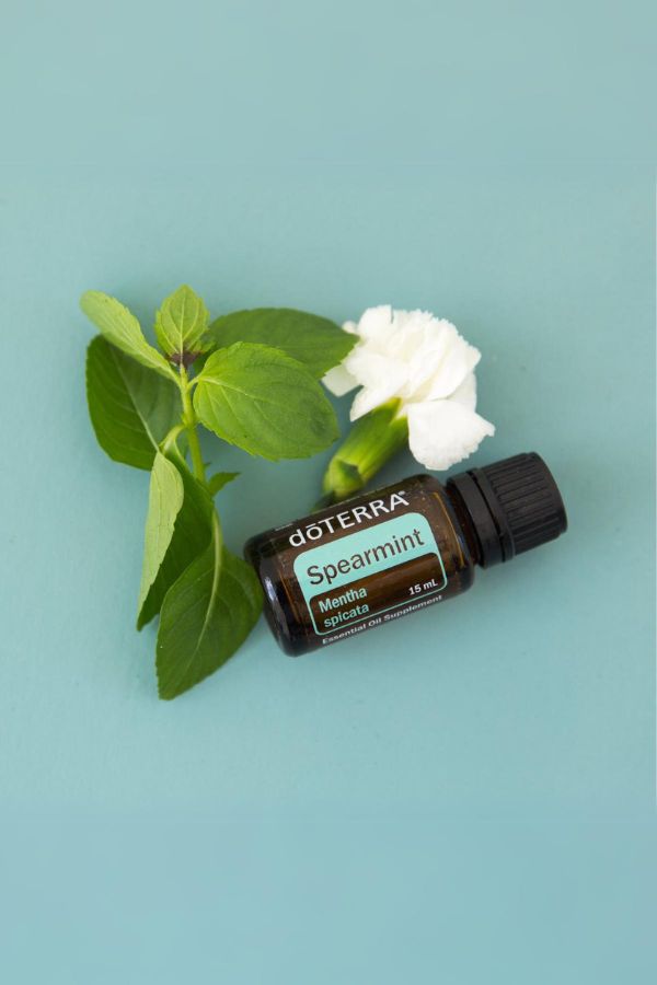 Spearmint
