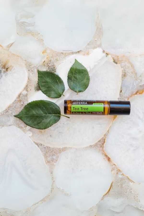 Tea Tree Touch