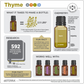 Thyme