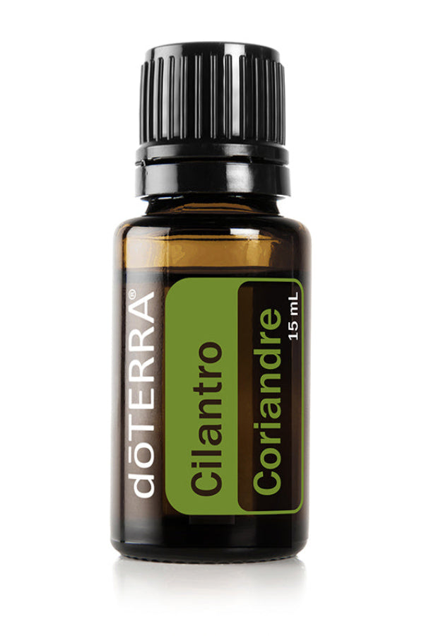Cilantro