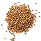 Coriander