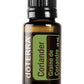 Coriander