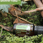 dōTERRA Shinrin-Yoku Blend