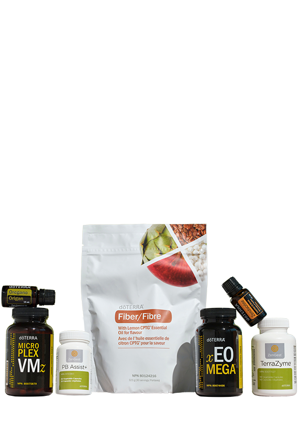 30 Day Reset Program