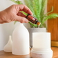 A hand holding a small amber essential oil dropper above a white diffuser on a wooden table, with a larger white diffuser bottle and a green potted fern in the background. doTERRA Endless Oil Blend
