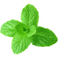 Spearmint