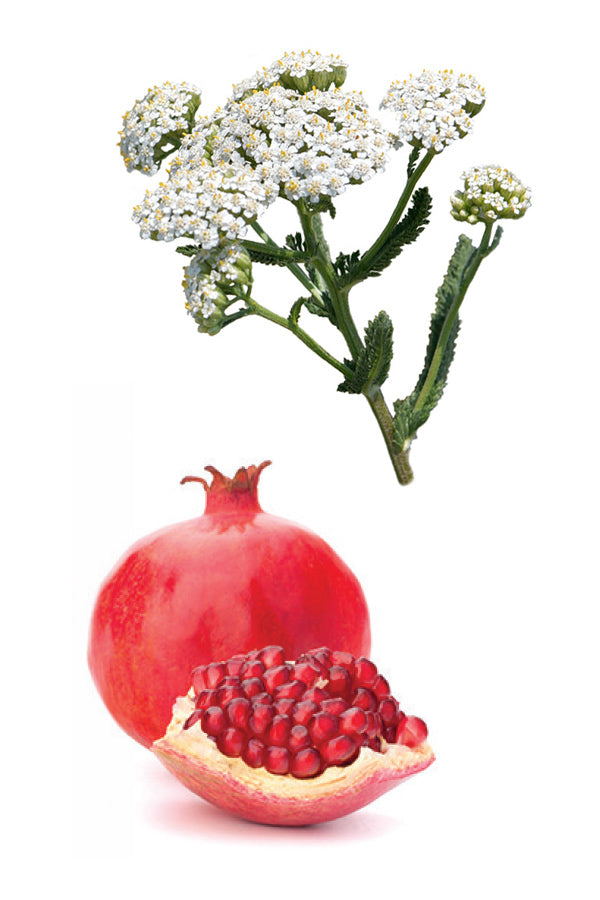dōTERRA Yarrow | Pom | doTERRA Canada